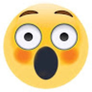 Meet your Posher, Arianna